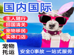 屯溪机场空运国际宠物托运 【国
